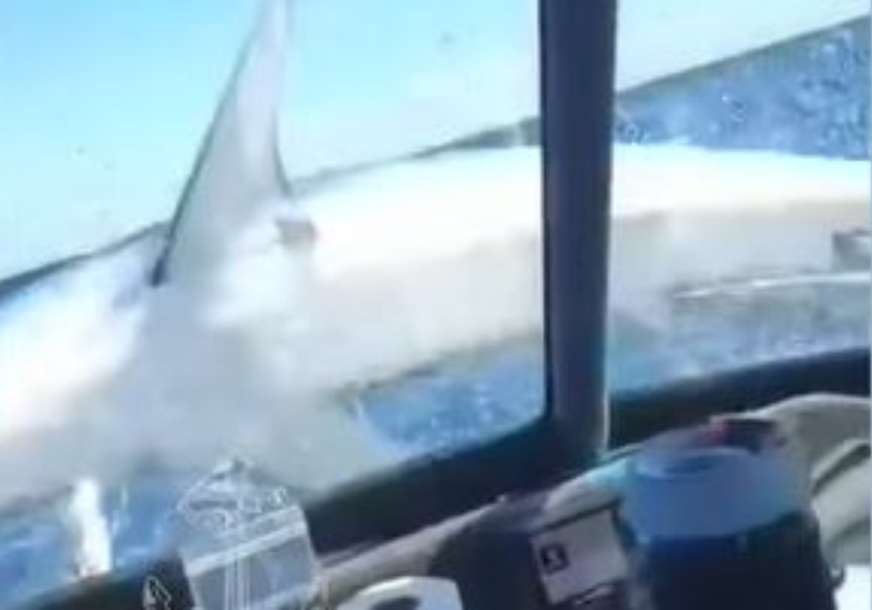 Nevolje na pecanju: Morski pas im je prvo zagrizao mamac, a onda skočio na brod (VIDEO)