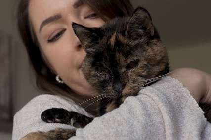 Sklone su i agresivnosti: Evo kako se nositi s ljubomornom mačkom