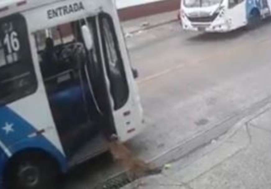 Zna koristiti javni prevoz: Pas sjeo u autobus i došao vlasnici na radno mjesto (VIDEO)