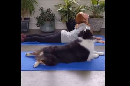 "Njihov odnos je magičan" Pas vježba jogu sa vlasnicom,  mnoge je oduševio (VIDEO)