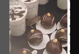 SLADI SE KOLAČIĆEM Neočekivani gost snimljen kako u poznatoj pekari gricka slatkiš (VIDEO)