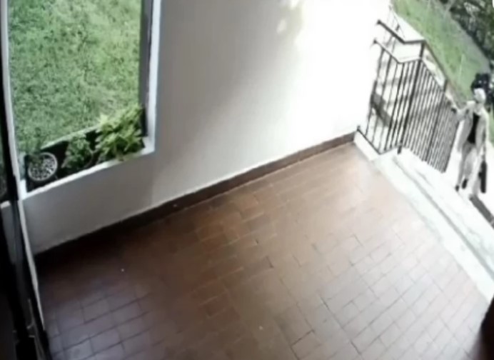 SKANDALOZNA PLJAČKA Žena ulazi u zgradu, a muškarac je udara u glavu i krade torbu (VIDEO)