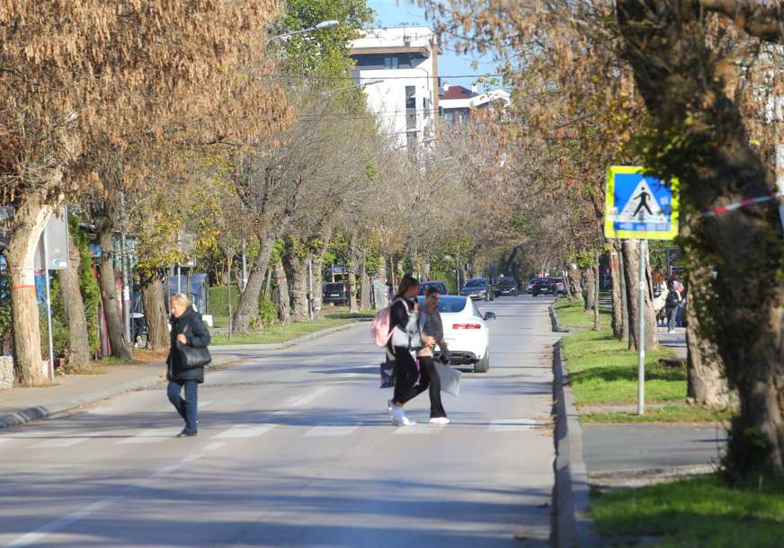Naredne sedmice sadnja novih: Počela rekonstrukcija drvoreda u Bulevaru Stepe Stepanovića