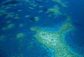 BOJALI SE DA ĆE GA LJUDI UNIŠTITI Otkriven koralni greben neoštećen globalnim zagrijavanjem