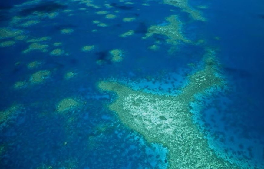 Iz UN poručuju "Veliki koralni greben u Australiji hitno uvrstiti u svjetsku baštinu koja je u opasnosti"