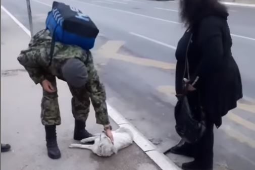 Monstrum udario psa, pa ga ostavio na ulici: Postupak vojnika u prolazu pokazao da dobri ljudi postoje (VIDEO)