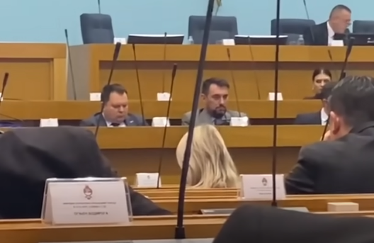 "Tiho noći moje luče spava" Vukanović zamolio za mir dok je ministar Budimir DRIJEMAO U SKUPŠTINSKOJ SALI (VIDEO)