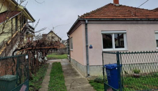 FOTO: N. BOŽOVIĆ / RINGIER