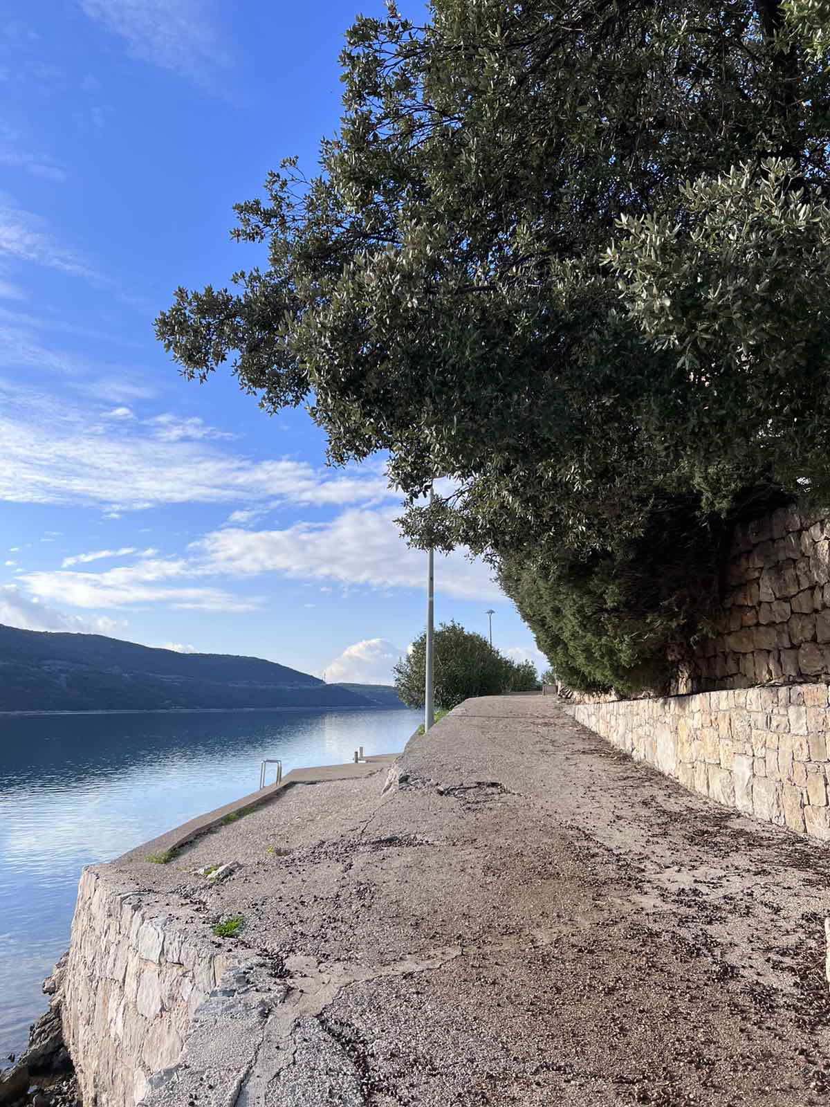 FOTO: USTUPLJENA FOTOGRAFIJA