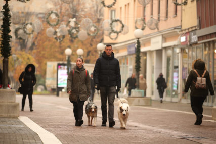 Od 15. decembra: Počinje akcija kontrole vlasnika pasa i njihovih zakonskih obaveza