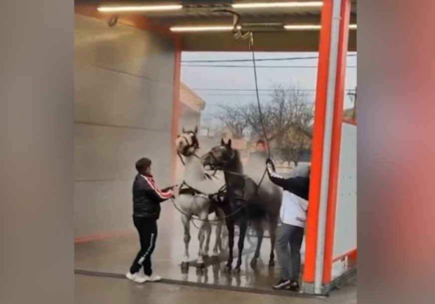 I ovo se desilo: Čovjek prao konje na autopraoni (VIDEO)