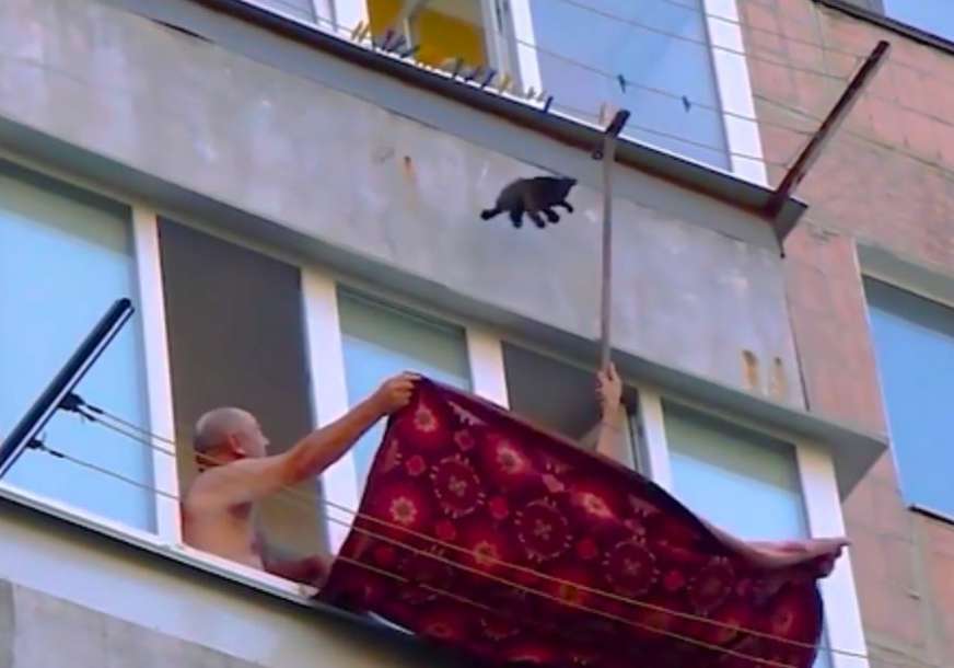 Radoznalost ga umalo koštala života: Mačić visio na štriku, a onda su se pojavili ljudi sa četkom i tepihom (VIDEO)