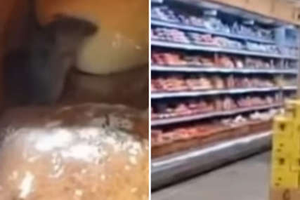 VEOMA OPASNO PO ZDRAVLJE U trgovačkom centru snimljen miš kako jede hljeb (VIDEO)
