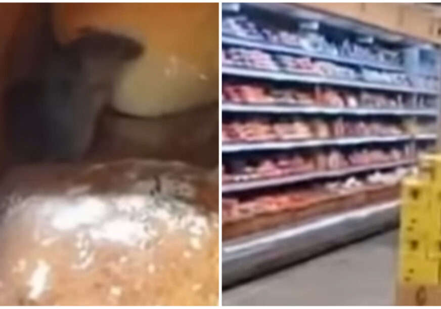 MIŠ POSTAO VIRALAN Snimak glodara kako jede hljeb u marketu proširio se mrežama, pa stigla poruka iz trgovine (VIDEO)