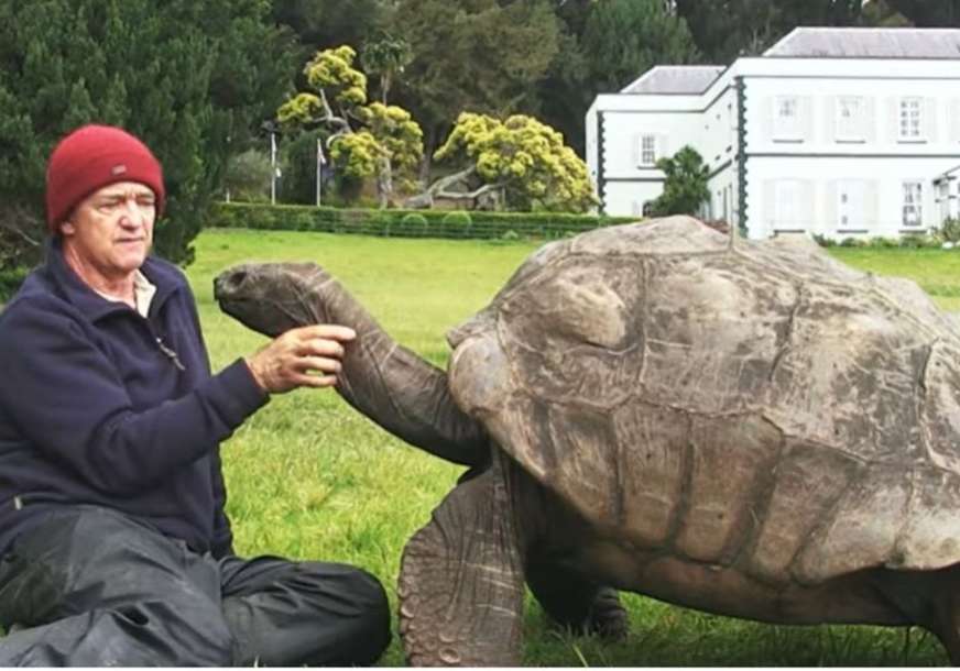Najstarija životinja na svijetu: Kornjača Džonatan slavi 190. rođendan (VIDEO)