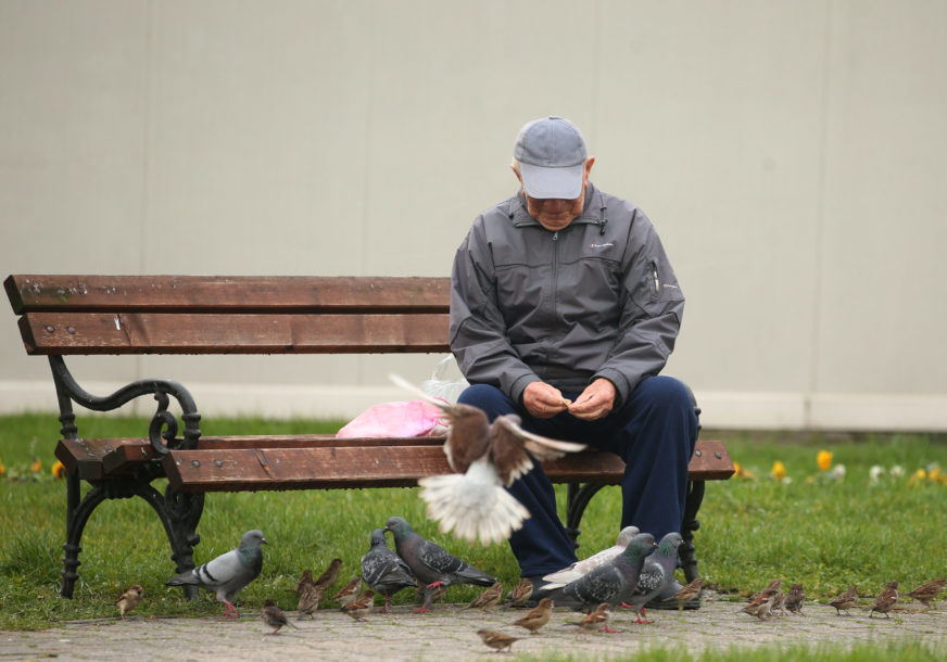 stariji covjek hrani golubove i vrabce 