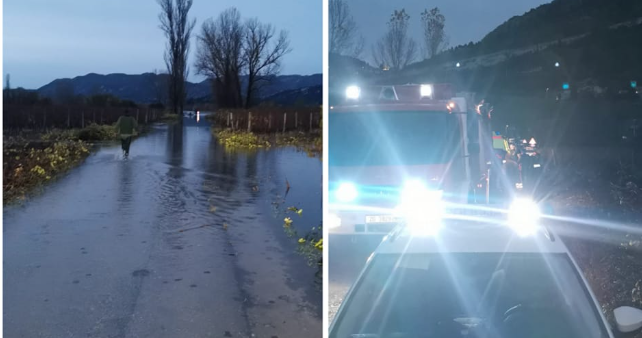 Nesvakidašnja nesreća: Auto završio u vodi, ženu pronašli na drvetu (FOTO)