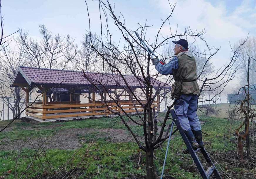 Zimsko orezivanje u punom jeku: Voćari u Potkozarju počeli novu sezonu (FOTO)