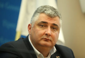 GUBITNIK DANA Miroslav Milovanović