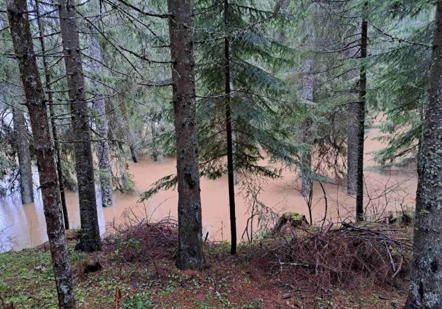 Na Bijambarama šuma pod vodom