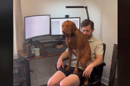 Hit video na TikToku: Kako je raditi od kuće ako imate psa (VIDEO)