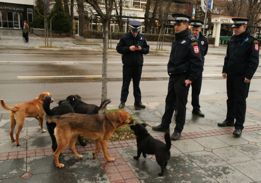 psi lutalice i policija