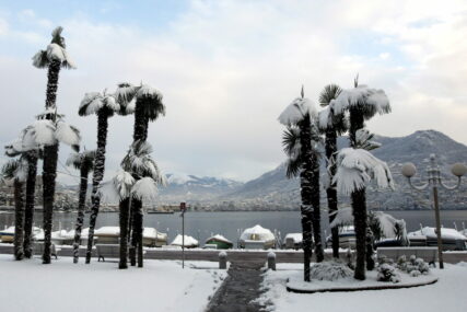Snijeg na palmama, snježna oluja Kalifornija