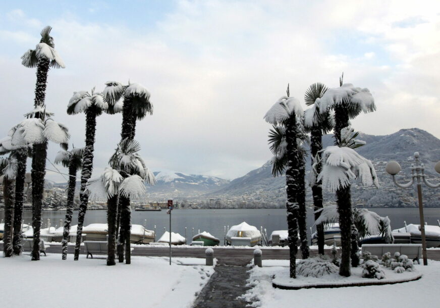 Snijeg na palmama, snježna oluja Kalifornija