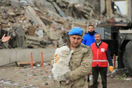 Mačka spasena ispod ruševina u Turskoj