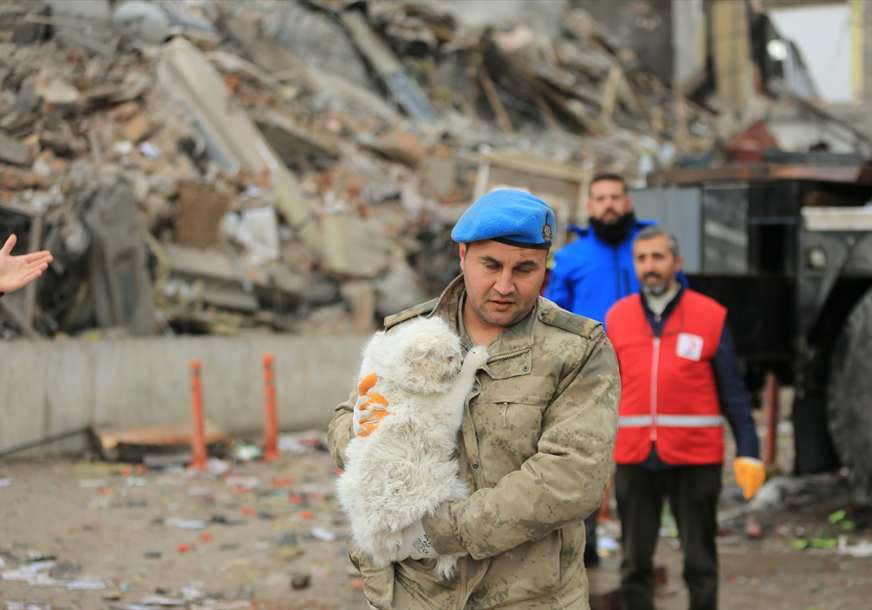 Mačka spasena ispod ruševina u Turskoj