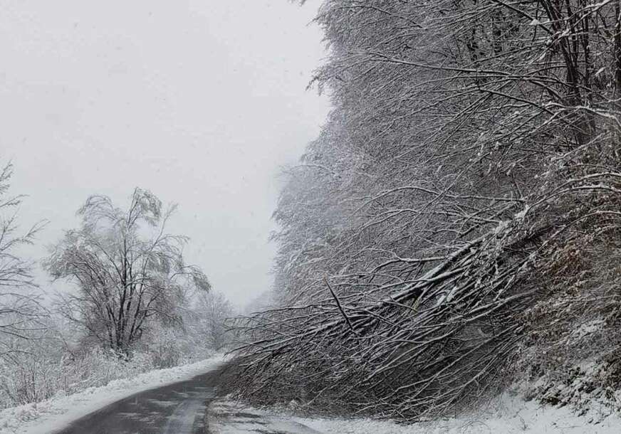 Dalekovodi u kvaru, saobraćaj otežan: Posljedice sniježnih padavina u Lijevču i Potkozarju (FOTO)