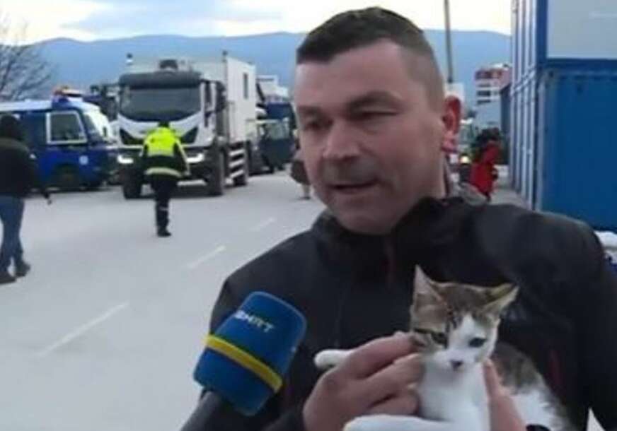 Sada ima novi dom: Maca Alejn koju su spasioci donijeli iz Turske dobila pasoš (VIDEO)