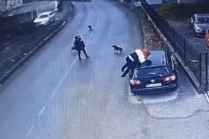 Čopor pasa napao muškarca: Pobjegao na krov  automobila, na društvenim mrežama uslijedila BURA (VIDEO)