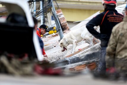Oni ulijevaju najveću nadu: Psi tragači su velika pomoć spasiocima, pomogli su u pronalasku mnogih žrtava u Turskoj (FOTO)