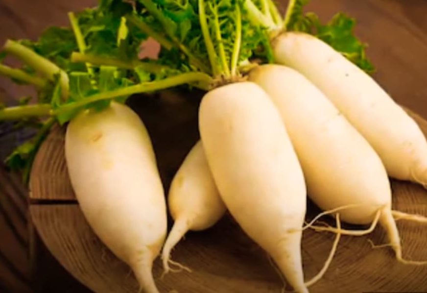 Nepravedno zaboravljeno povrće: Bijela rotkva riznica zdravlja i vitkosti
