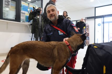 POVRIJEDILA SE NA RUŠEVINAMA Hrabroj Tori, psećem članu srpskog tima u Turskoj, pružena medicinska pomoć (FOTO)