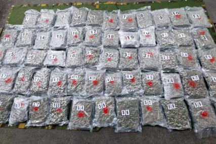 DROGA U SKRIVENOM BUNKERU Policija u "mercedesu" pronašla 33 kilograma kanabisa