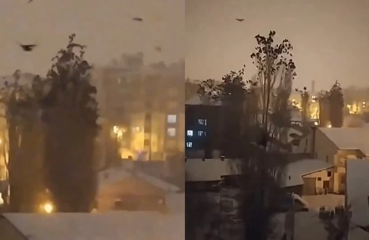 Čudno ponašanje ptica u Turskoj prije zemljotresa