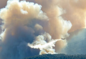Veliki šumski požar bukti na istoku Španije: Preko 500 vatrogasca se bori sa vatrenom stihijom (FOTO)