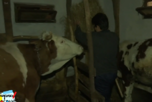 Četiri generacije porodica Korićanac