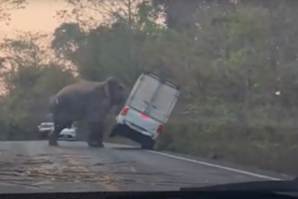 Slon prevrnuo automobil