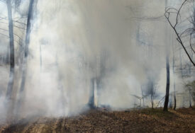Vatra zahvatila 15 duluma šume: Ugašen šumski požar na lokalitetu Gornja Trnovica