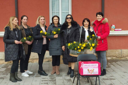 Udruženje žena Bileća