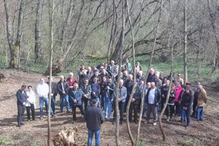 Veliko Palančište