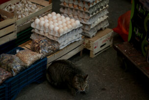 prodaja jaja na banjalučkoj tržnici 