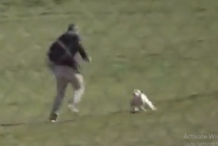 Kamere zabilježile napad pasa lutalica na čovjeka: Na istom mjestu su izujedali i trudnicu (VIDEO)