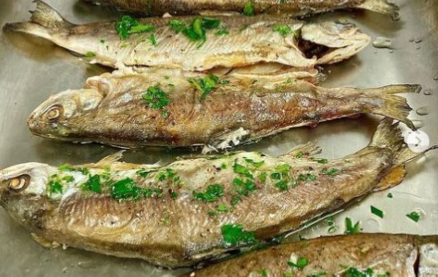 Recept za pastrmku u marinadi od bijelog vina