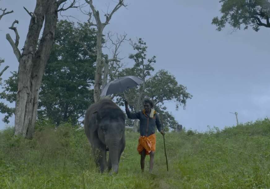 Slon i čovjek šetaju