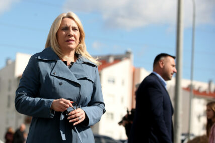 Cvijanovićeva reagovala na Blinkenovu izjavu "Neizbalansiran pristup američkih zvaničnika je DIO PROBLEMA, a ne rješenje"