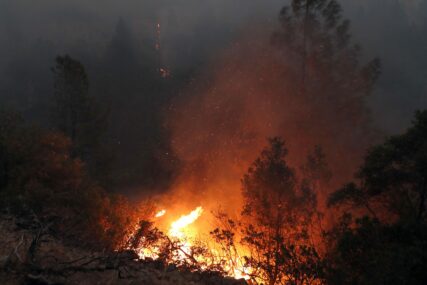 Nakon kiše i snijega, nova katastrofa: Požari u Kaliforniji uništili  stotine hektara šume